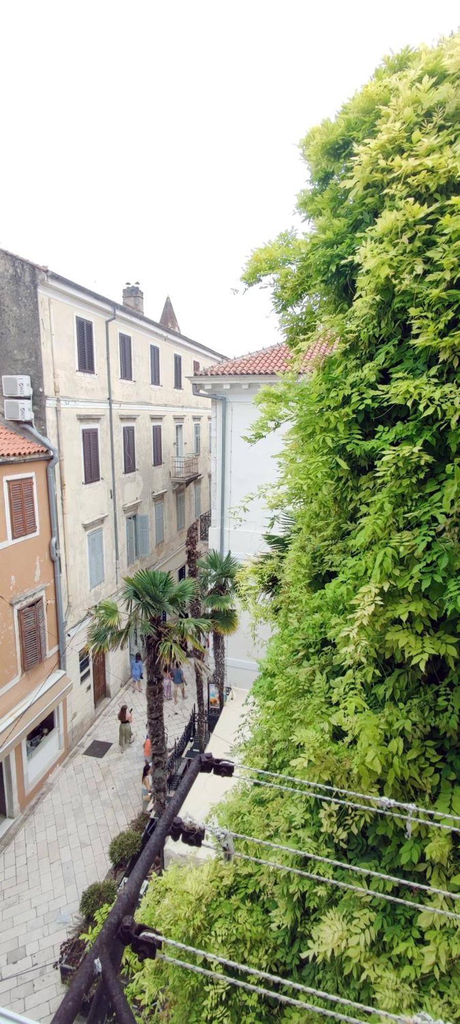 Donat & Zadar